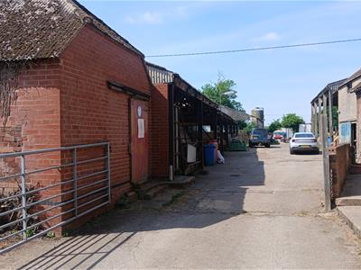 Picture 4